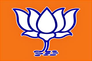 haryana BJP preparation for Lok Sabha elections