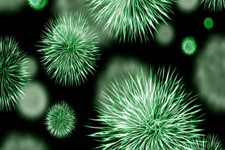 Researchers discover critical factors that determine survival of airborne viruses