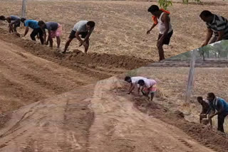 Power of Farmers in Shakti