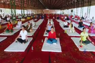 International Yoga Day