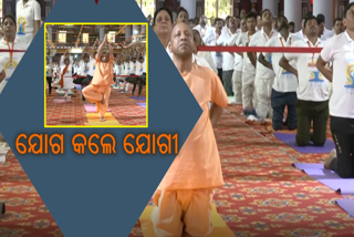 Adityanath performed yoga on yoga day