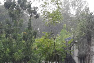 Surat Rain : સુરતમાં અચાનક વાતાવરણમાં પલટો આવતા વરસાદ શરૂ થયો, ઠંડકથી સુરતીઓ રાજીરાજી