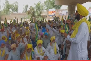 Farmer Protest, Mansa