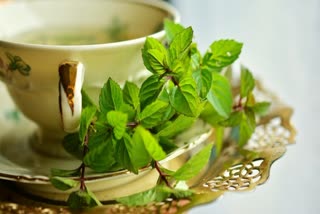 Green Tea Benefits News