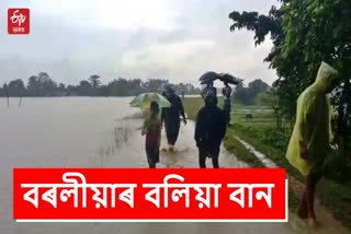 assam flood news