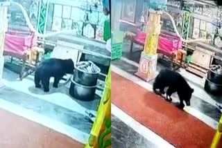 bear-entered-temple-in-davanagere