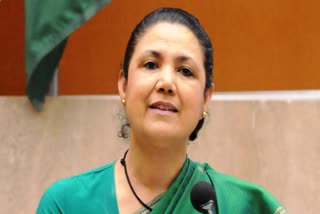 Meera Shankar, former Indian Ambassador to the US