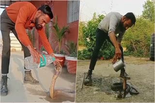 Man Giving water to Snake