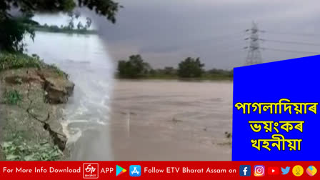 Erosion of Pagladia river in Nalbari