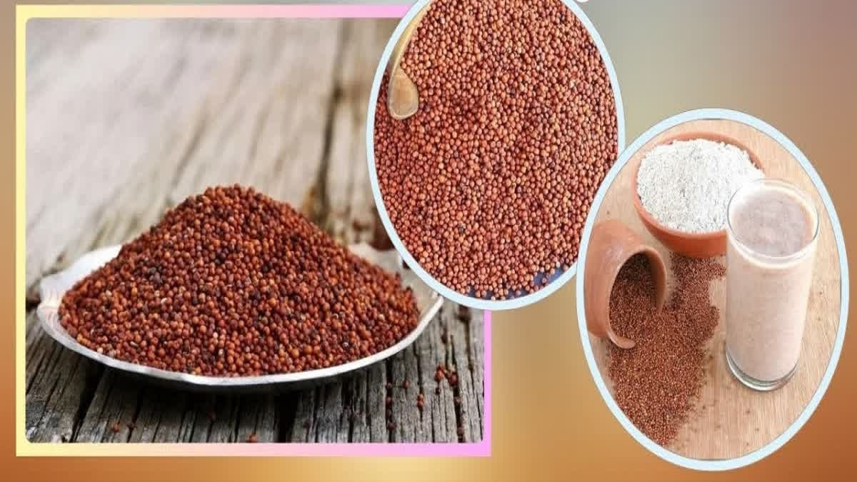 finger-millets-health-benefits-of-finger-millets-in-kannada