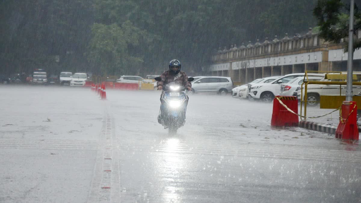 Haryana Monsoon Update