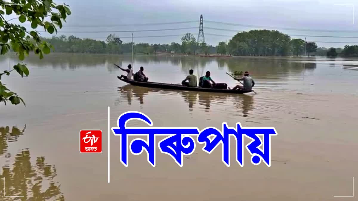 Flood in Assam