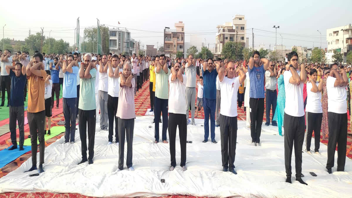 internation yoga day jaipur