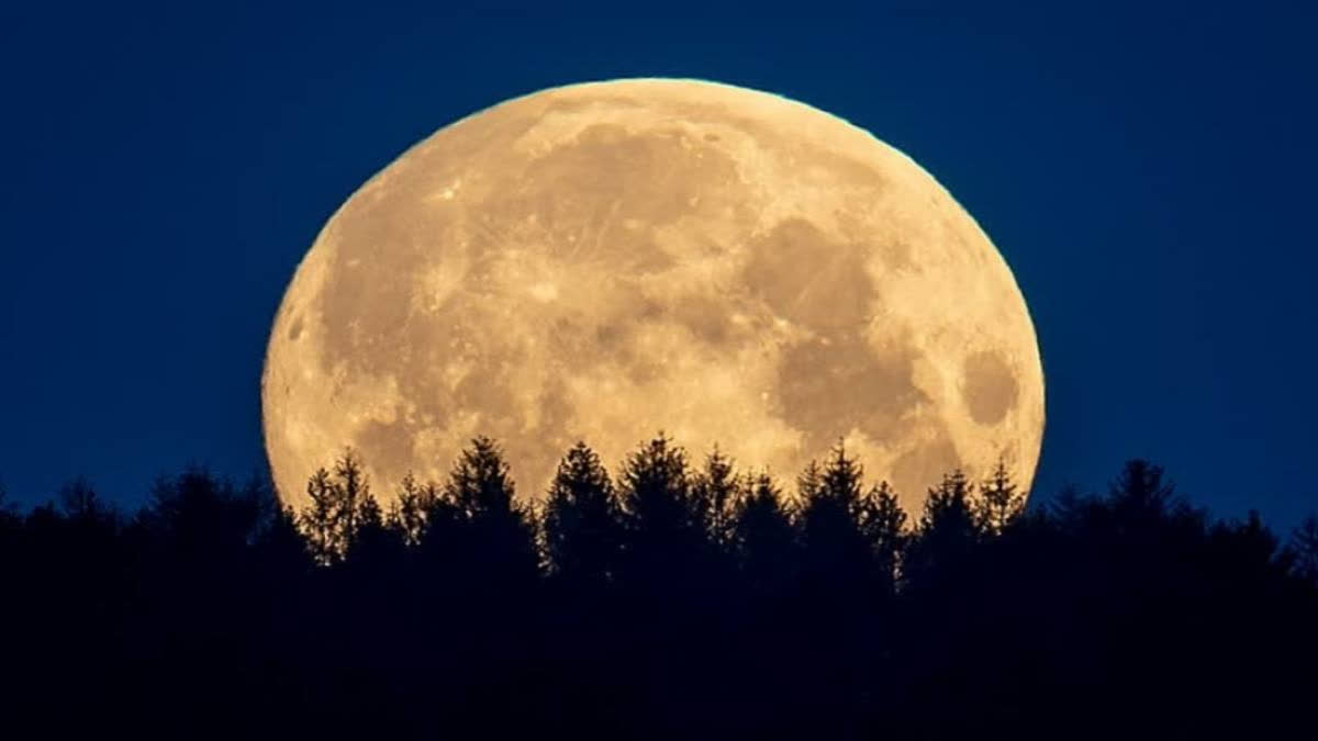 june-21-or-22-when-is-full-moon-day-whats-the-speciality-of-strawberry-moon