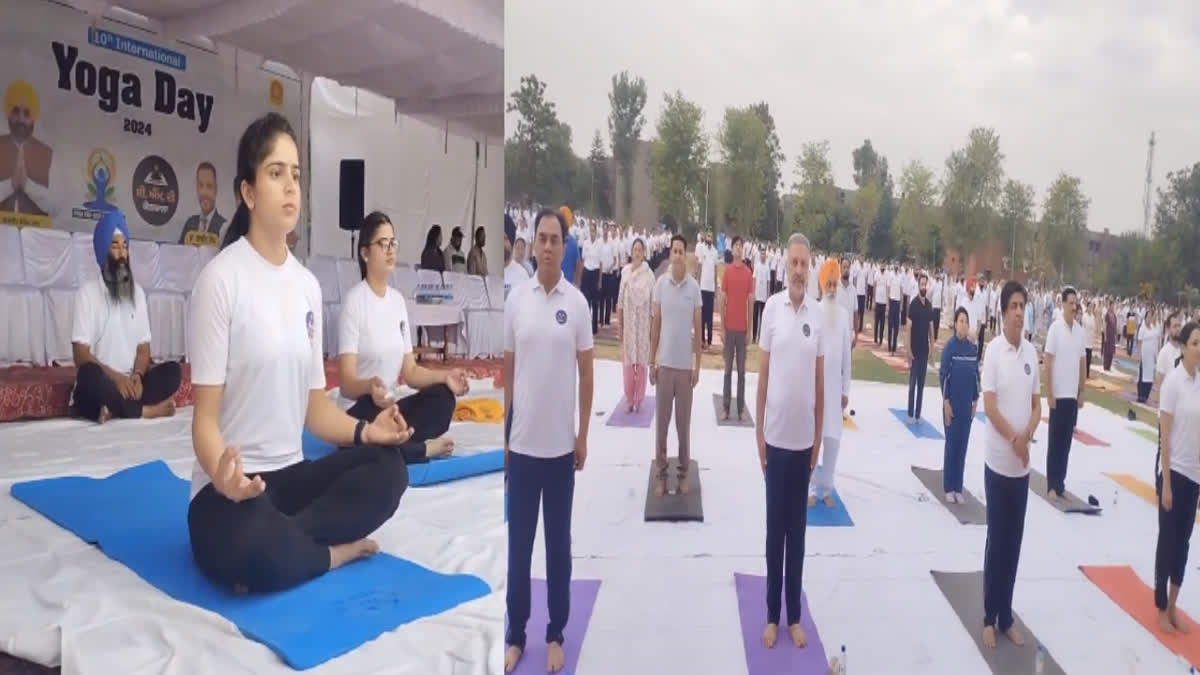 International Yoga Day in Hoshiarpur, Health Minister made people aware
