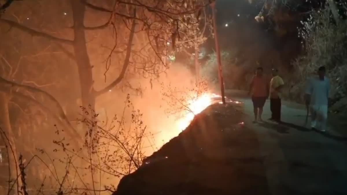 Forest workers are in fear after the Binsar forest fire incident