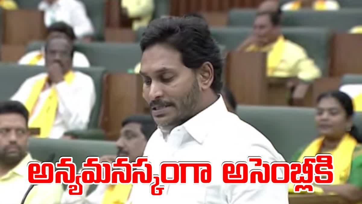 Pulivendula MLA YS Jagan Oath in Assembly