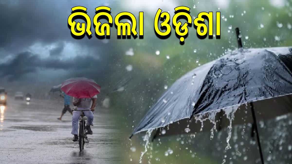 Monsoon Arrives In Odisha