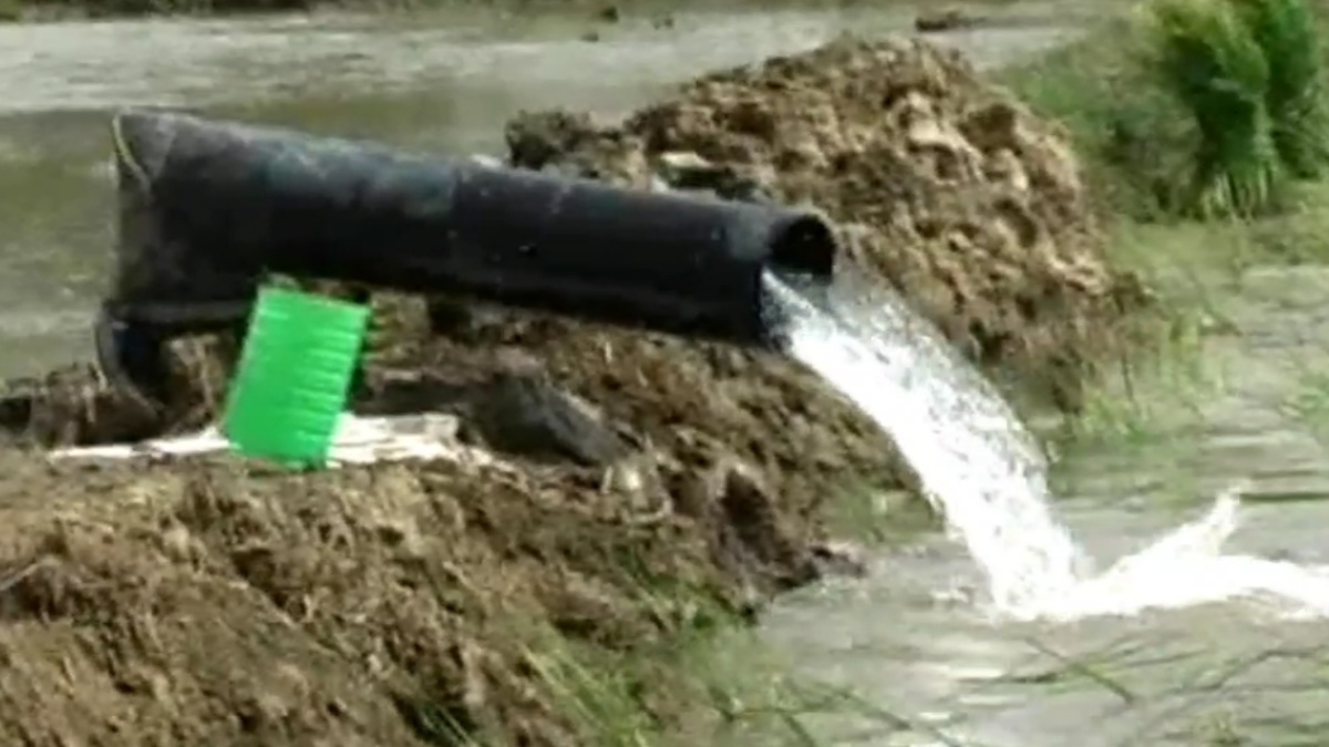 Paddy Transplanting Technology