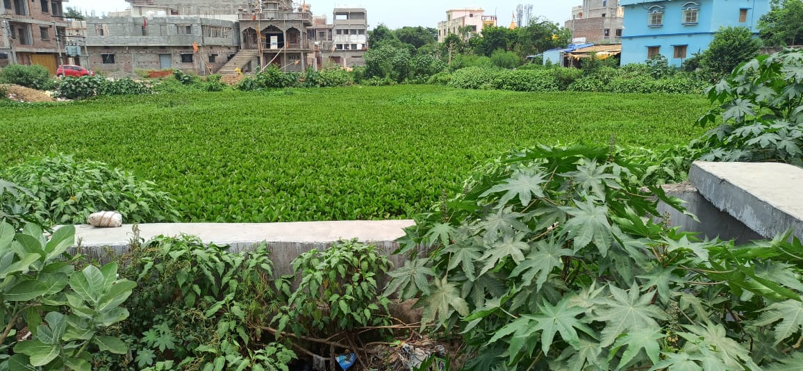 CONDITION OF MAJOR PONDS