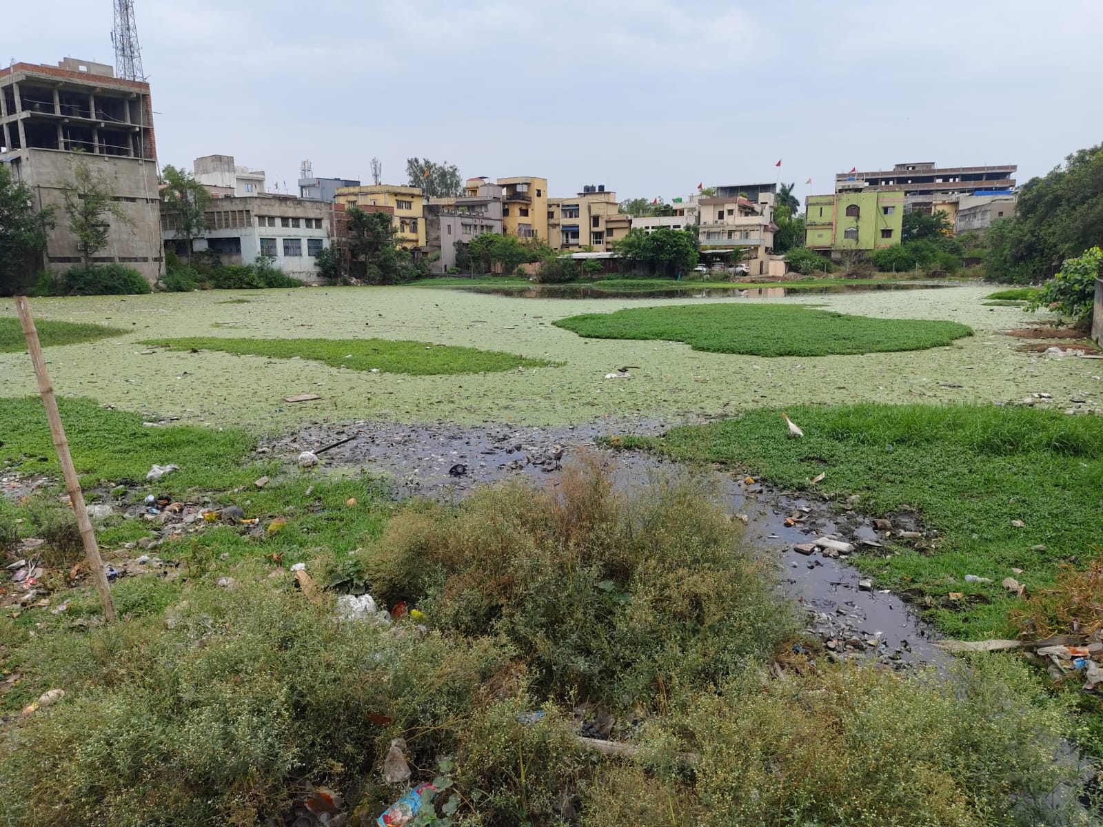 CONDITION OF MAJOR PONDS