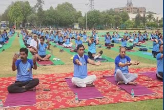 YOGA DAY CELEBRATED IN DELHI ROHINI