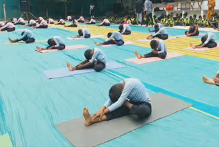 யோகா செய்யும் சிறுவர்கள்