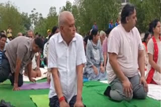 International Yoga Day