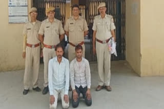 2 cow smugglers arrested