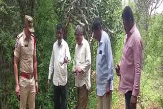 Cheetah Migration in Durgampally Forest Area