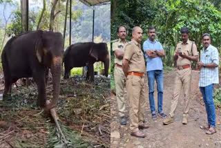 FOREST DEPARTMENT REGISTERED CASE  ELEPHANT KILLED  പാപ്പാനെ ആന ചവിട്ടി കൊലപ്പെടുത്തി  വനം വകുപ്പ് കേസെടുത്തു