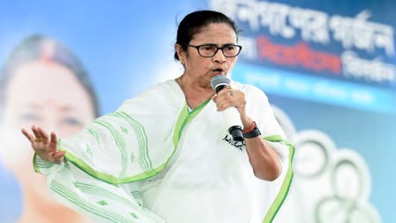 Mamata Banerjee