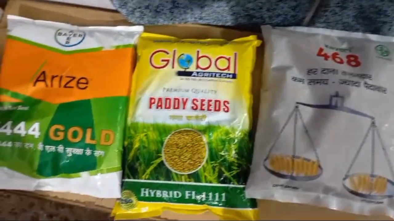 Jabalpur Fake paddy seeds