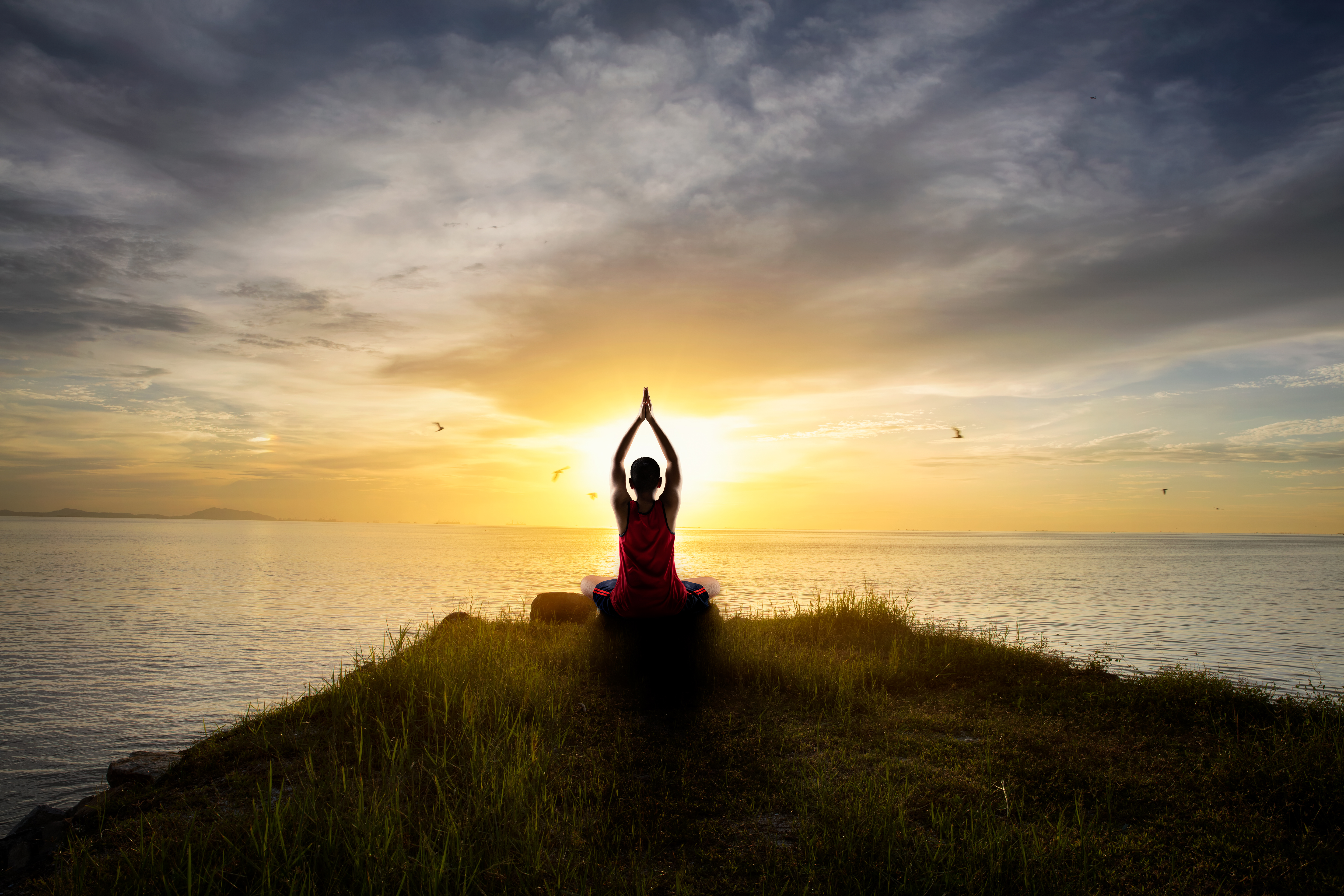 INTERNATIONAL YOGA DAY DO YOGA FOR 10 MINUTES EVERY DAY THESE YOGASANAS WILL RELIEVE STRESS ವಿಶ್ವ ಯೋಗ ದಿನ 2025