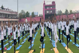 Guests and others doing yoga at SMS Stadium on Yoga Day