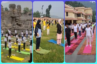 جموں کشمیر میں عالمی یوم یوگا کی نسبت سے تقاریب کا اہتمام