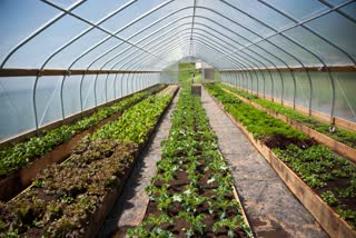 SHIVPURI MODERN FARMING
