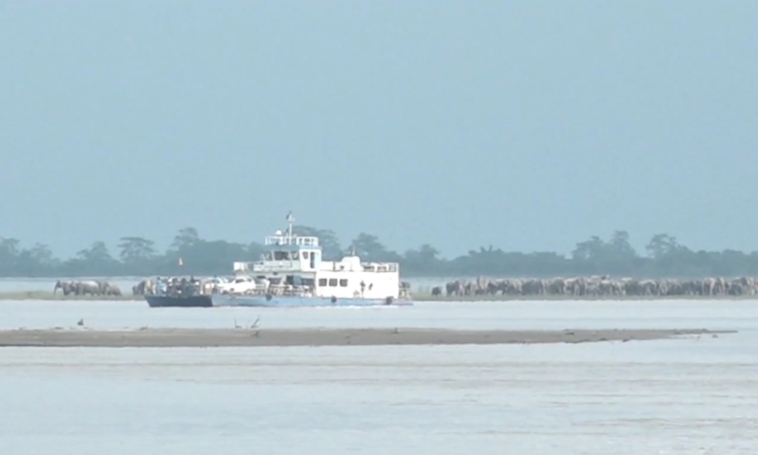 Wild elephant terror in Majuli