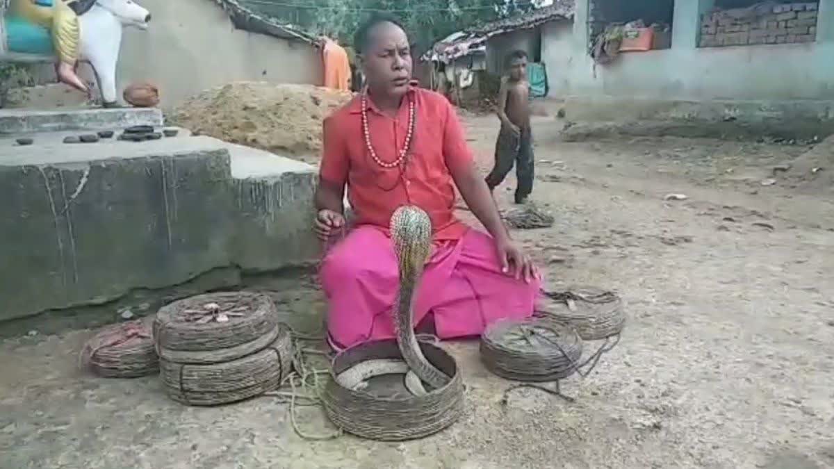Snake In Dowry
