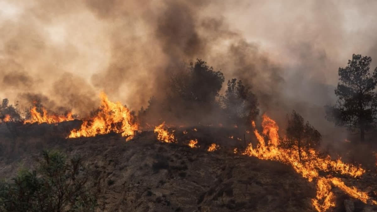 Canada: Helicopter pilot killed while battling forest fire