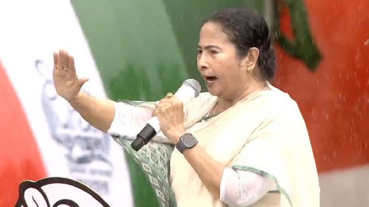 mamata banerjee