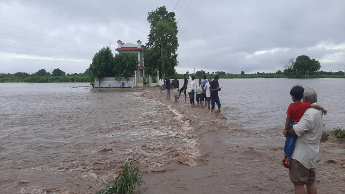 Rajkot Rain: ઉપલેટા પંથકમાં વરસાદી પાણીએ ખેતીની પથારી ફેરવી નાખી, ખેતરો નદી તળાવમાં ફેરવાયા