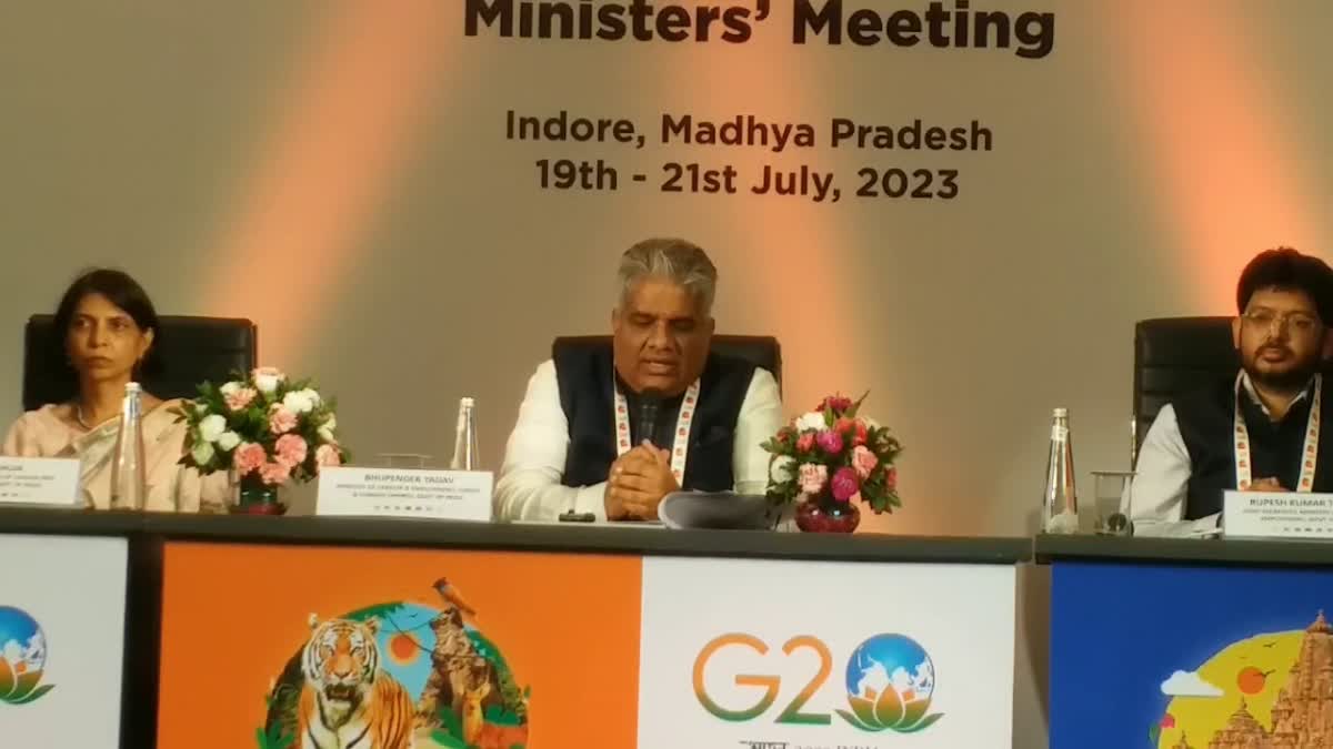 G20 ministerial group meeting in Indore
