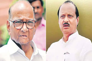 Blow to Sharad Pawar: NCP Nagaland MLAs extend support to Ajit Pawar