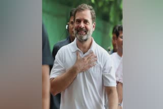 rahul gandhi kottakkal  Rahul Gandhi in kottakkal arya vaidya sala  Rahul Gandhi  Rahul Gandhi in kottakkal  kottakkal arya vaidya sala  Rahul Gandhi Ayurvedic treatment  രാഹുൽ ഗാന്ധി  രാഹുൽ ഗാന്ധി കോട്ടക്കലിൽ  രാഹുൽ ഗാന്ധി ആയുർവേദ ചികിത്സ  രാഹുൽ ഗാന്ധി കോട്ടക്കൽ ആര്യ വൈദ്യശാലയിൽ  കോട്ടക്കൽ ആര്യ വൈദ്യശാല  കോട്ടക്കൽ ആര്യ വൈദ്യശാല രാഹുൽ ഗാന്ധി  രാഹുൽ ഗാന്ധി ഉമ്മൻ ചാണ്ടി സംസ്‌കാരം