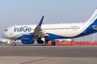 Indigo plane