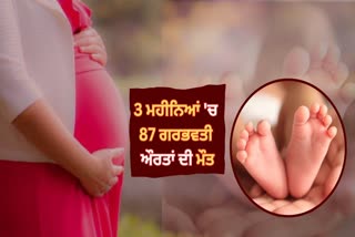 Mortality Rate of Pregnant Women In Punjab