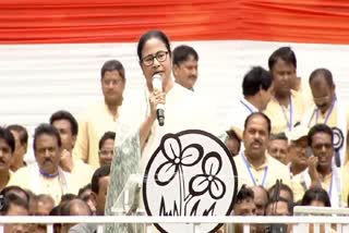 mamata banerjee