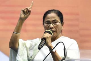 Man Enters Mamata Banerjee Residence