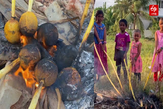 நாமக்கல்லில் 'தேங்காய் சுடும்' பண்டிகை